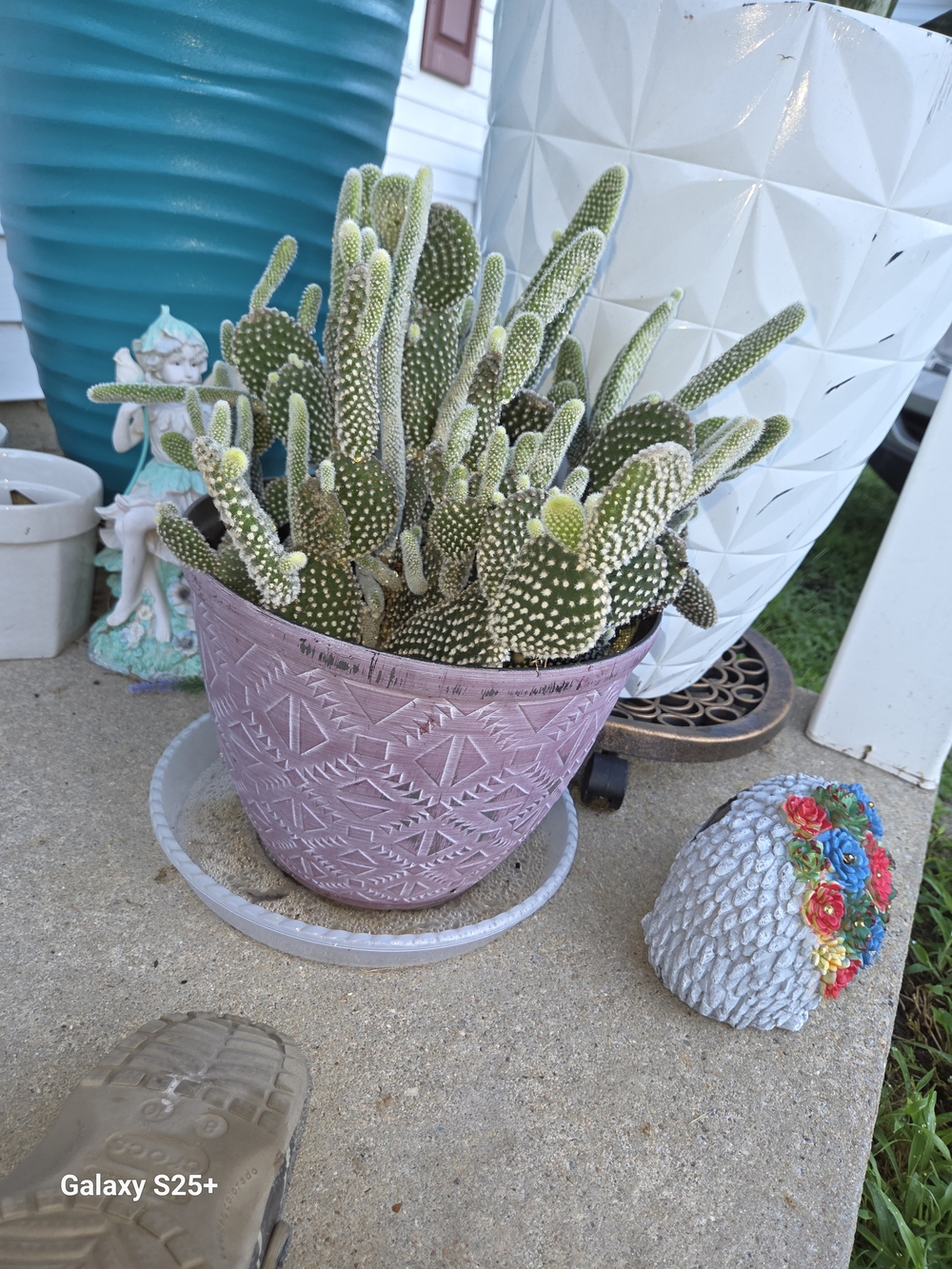 Decorative Pink Tribal Pattern Plant Pot - Home Accents With Cactus